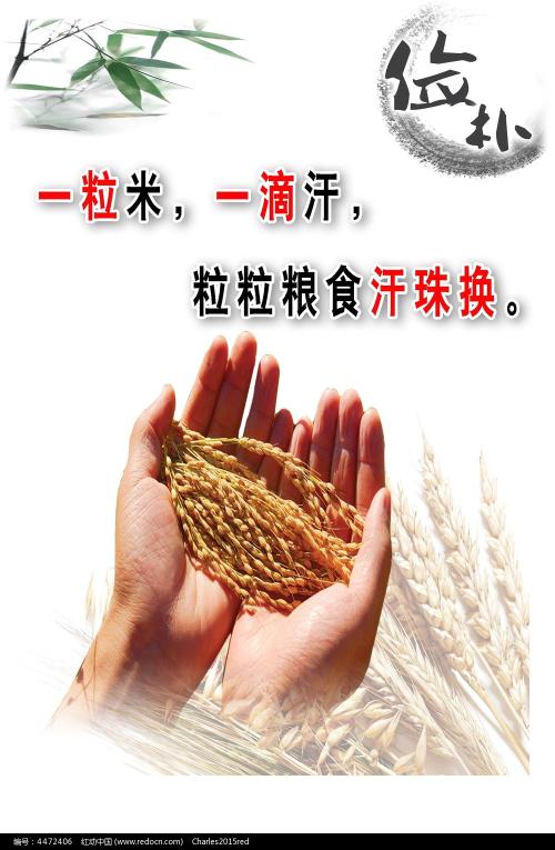 入职登记 学历证书